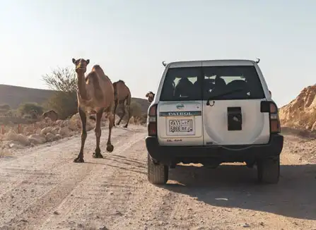 Edge of the World 4x4 Road and Terrain Conditions